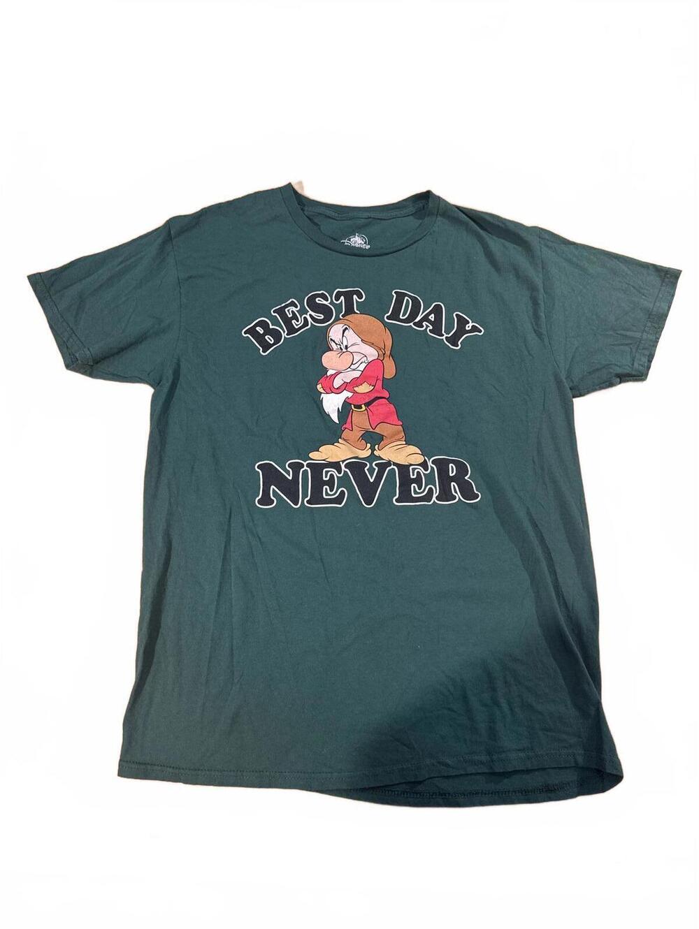 Men's Medium "Best Day Never" Grumpy Dwarf Green Disney Tee